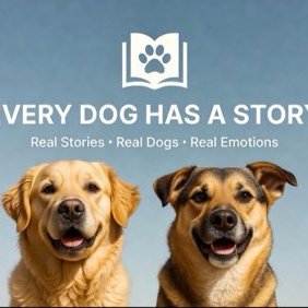 Every Dog Has A Story's profile picture