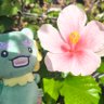 よすみ🐈 的头像