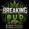 Breaking Buds profil fotoğrafı