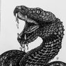 𝖬𝖺𝗍𝗍 𝖲𝗍𝖺𝗆𝗉𝖾𝗋 🐍's profile picture
