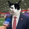 Knickerbocker's profile picture