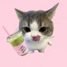 Profilbild von missmatcha