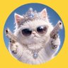 チヨコ🐾 profil fotoğrafı