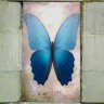 Miranda Grey (baby blues)'s profile picture