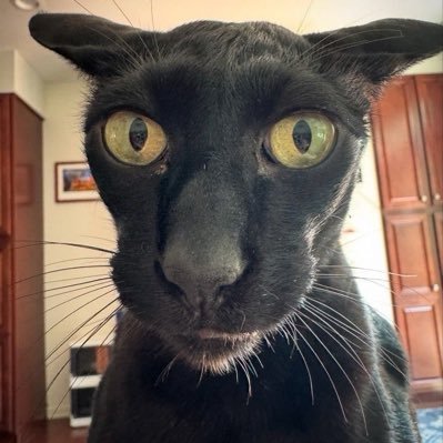 mily's profile picture