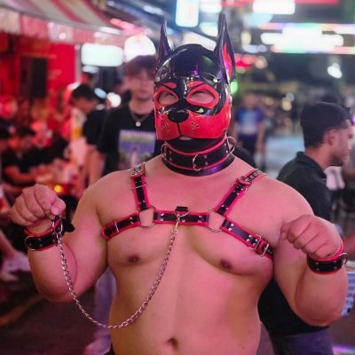 Trumpboz's profile picture