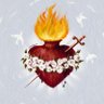 Mashi Lu's profile picture