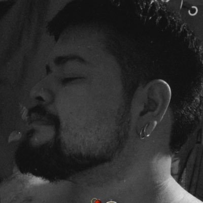 Pitter Leão 🦁's profile picture