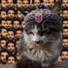 61TRABZON.RAAAAA's profile picture