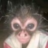 İlayda's profile picture