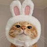 Profilbild von จอ.นอ