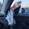 𝕄ℝ. 𝔸ℂℍ𝔼𝔸𝕄ℙ𝕆ℕ𝔾🦅 profil fotoğrafı