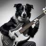 Fynn Andrevski's profile picture