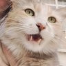 Profilbild von vinvinrem
