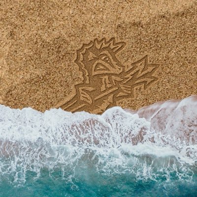 NorfolkTides's profile picture