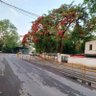BIKERKMPSINGH 的头像