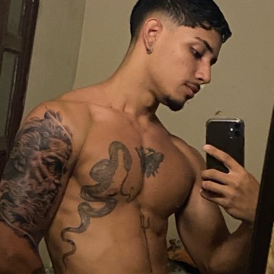breninho 🐅's profile picture