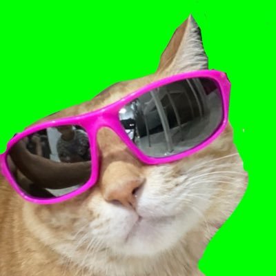 paijourneyma's profile picture