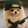 Фото профиля Jimmy.sol