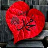 🇹🇷Metin Ertan🇯🇴 profil fotoğrafı
