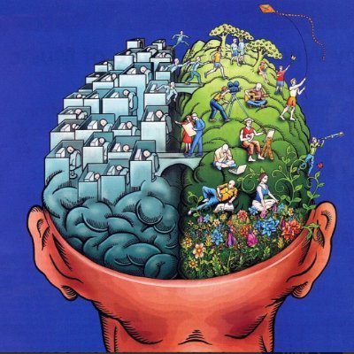WiseSphere's profile picture