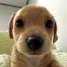 Profilbild von Billy
