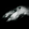 Profilbild von sonar