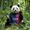 Фото профиля Panda PSG75