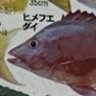 ミミジャー 的头像