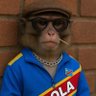 Profilbild von Ebola