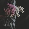 Profilbild von Raghad 🕊️ ᥫ᭡