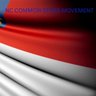 North Carolina Common Sense Movement 的头像