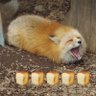 Yuta's profile picture