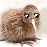 Profilbild von Abasia