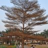 Mrinal Sinha's profile picture