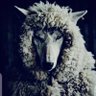 VLADIMIR ᡕᠵ᠊ᡃ່࡚ࠢ࠘ ⸝່ࠡࠣ᠊߯᠆ࠣ࠘ᡁࠣ࠘᠊᠊ࠢ࠘'s profile picture