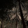 باسل 🖤. 的头像