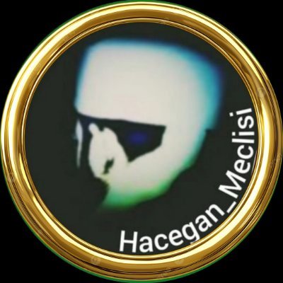 Hacegan_Meclisi's profile picture