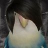 Innocaps's profile picture