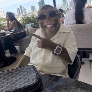 JoePujiai5's profile picture