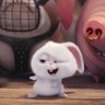 แม่ยายเติ้ลกม🐽🐽🐾's profile picture