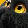 Profilbild von DekThai