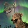 Celebula's profile picture
