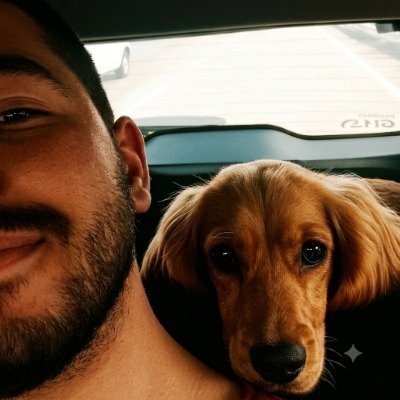 Yiğit's profile picture