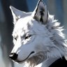 FoxOfTheNight's profile picture