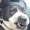 Matthew Luke's profile picture