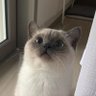 Profilbild von binbin