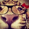 Profilbild von ns.z