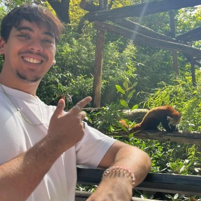 mehdi's profile picture