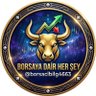 Profilbild von Borsaya Dair Her şey